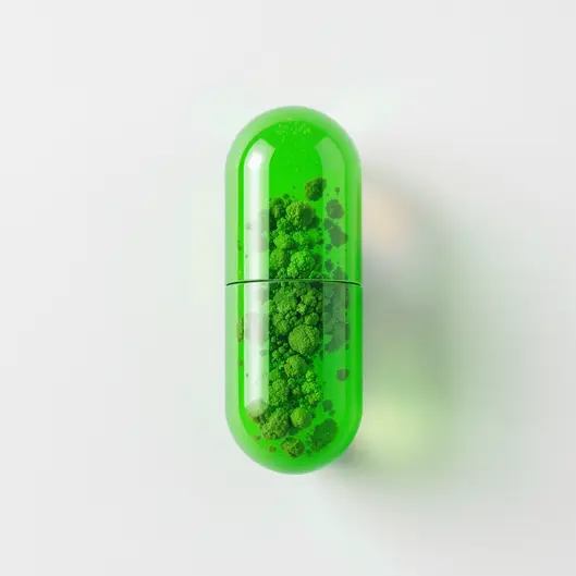 Cận cảnh hoạt chất Andrographolide chiết xuất từ cây Xuyên tâm liên