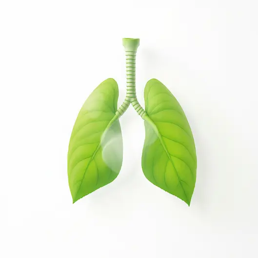 Cách sử dụng Xuyên tâm liên dưới dạng trà hoặc viên uống để phòng bệnh hô hấp