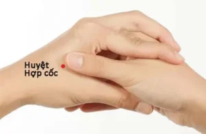 Huyệt Hợp Cốc: Bí Quyết Giảm Đau Hiệu Quả và Cách Bấm Chuẩn Xác Tại Nhà