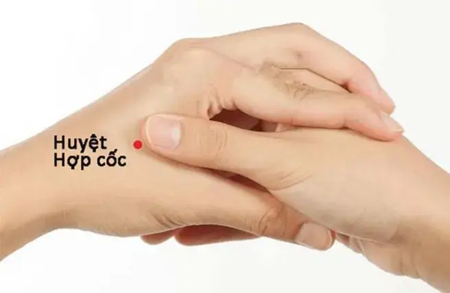 Huyệt Hợp Cốc: Bí Quyết Giảm Đau Hiệu Quả và Cách Bấm Chuẩn Xác Tại Nhà