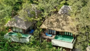 Du Lịch Chữa Lành: Tái Tạo Thân – Tâm – Trí Với Y Học Cổ Truyền