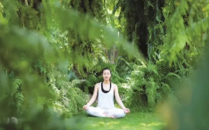 Tiềm năng phát triển sự nghiệp trong ngành du lịch wellness kết hợp y học cổ truyền tại Việt Nam