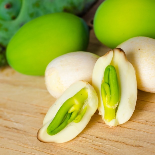 Hình ảnh minh họa tình trạng mất ngủ và hạt sen khô, tâm sen, biểu tượng cho giải pháp tự nhiên