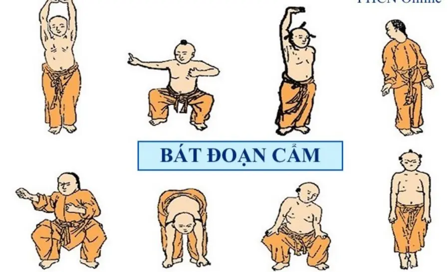 Bát Đoạn Cẩm: Khí Công Dưỡng Sinh Hiệu Quả Cho Dân Văn Phòng
