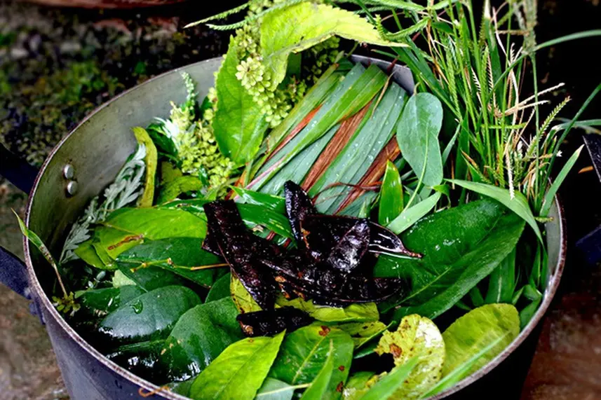 Xông Hơi Giải Cảm Bằng Nồi Lá Xông: Phương Pháp Trị Liệu Dân Gian Hiệu Quả