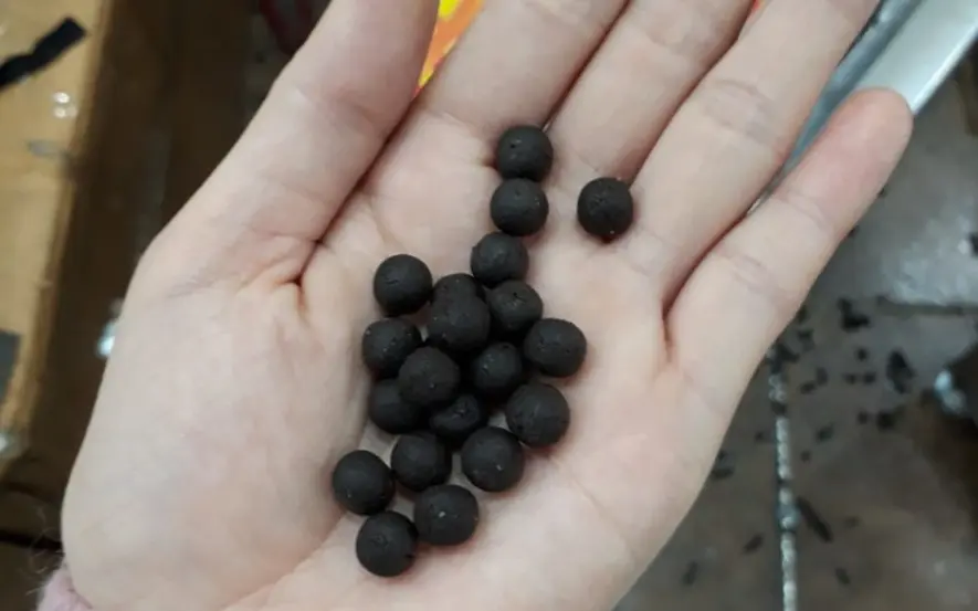 Các thành phần chính của An thần hoàn và công dụng theo YHCT