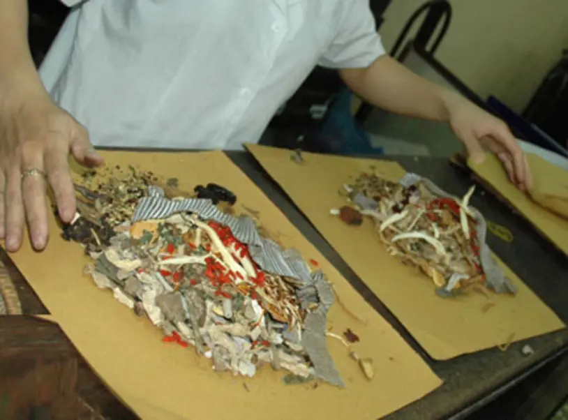 Biểu đồ các công dụng chính của Độc hoạt tang ký sinh theo lý luận Y học cổ truyền đối với sức khỏe